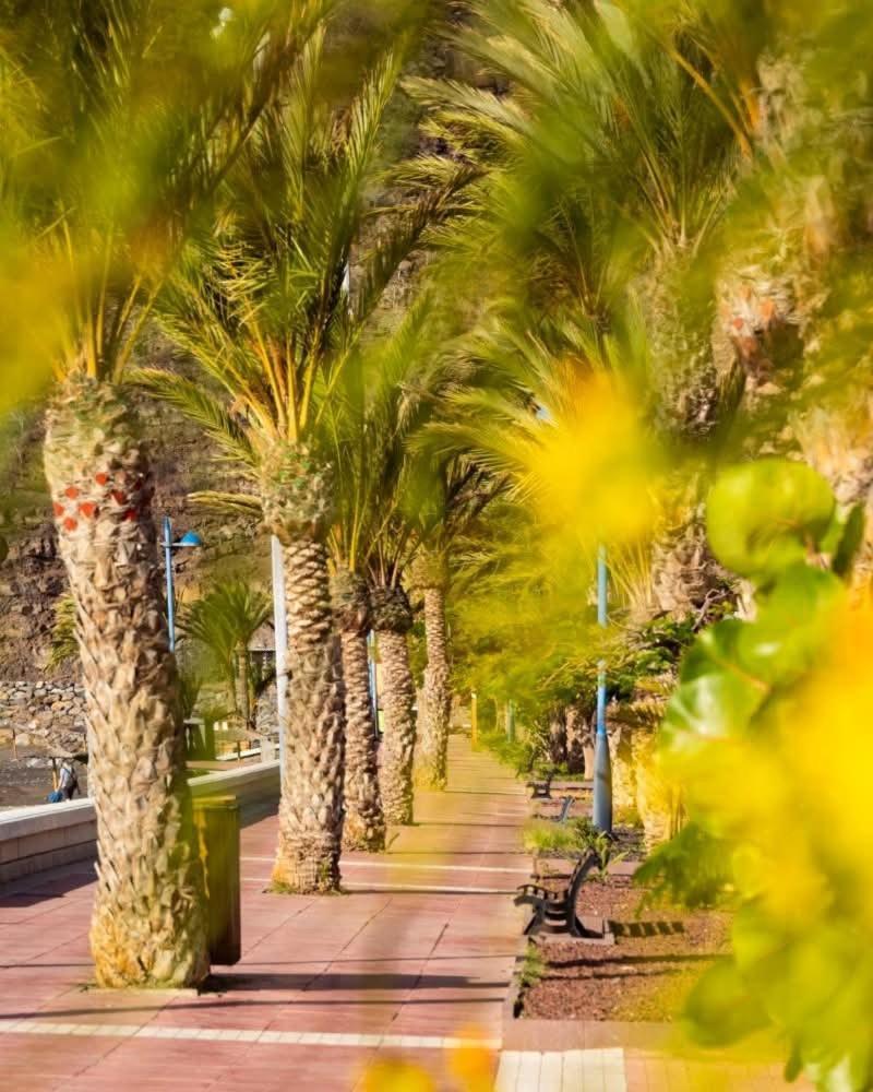 El Balcon De Colon Lägenhet San Sebastián de la Gomera Exteriör bild